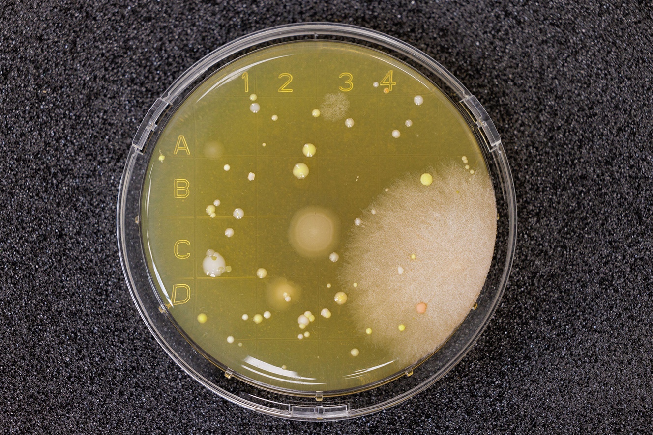 USP < 797 > Viable Air and Surface Sample Reports: 3 common errors