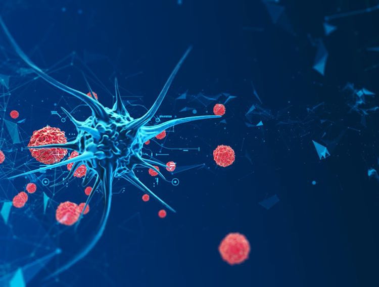 Abzena takes modular approach to biologics suites
