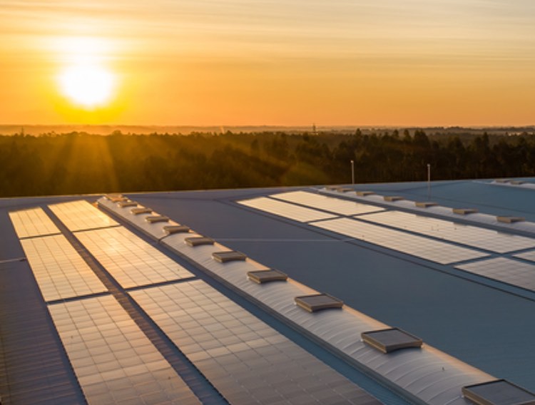 ACES wins solar cell manufacturing cleanroom project