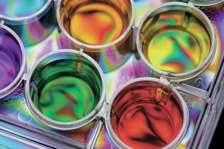 Amazon Filters expands portfolio