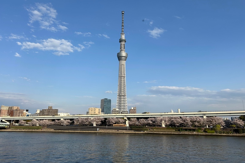 Ansell launches PPE range KIMTECH in Japan
