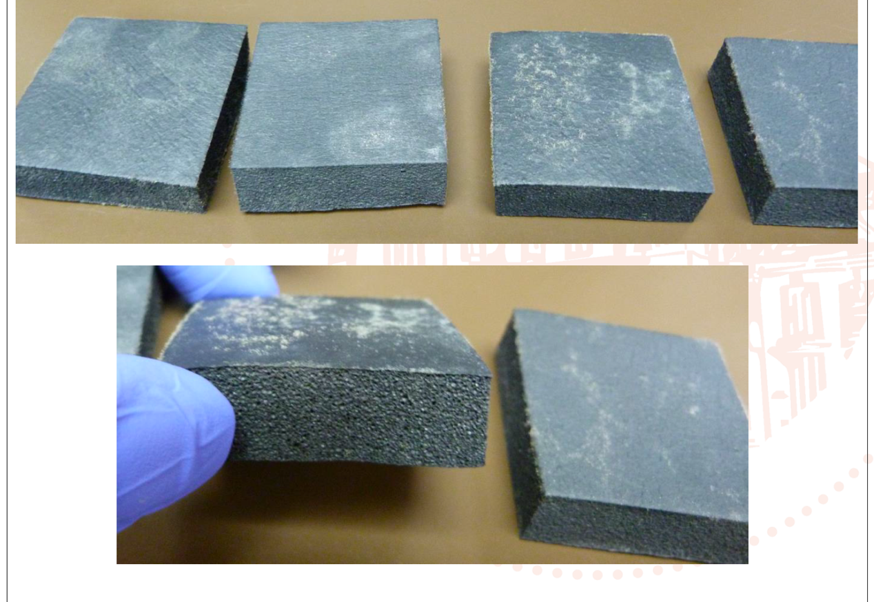 Figure 2: Post-test photos and close-up images of the EPDM elastomeric foam product, which received a mould growth rating of 2