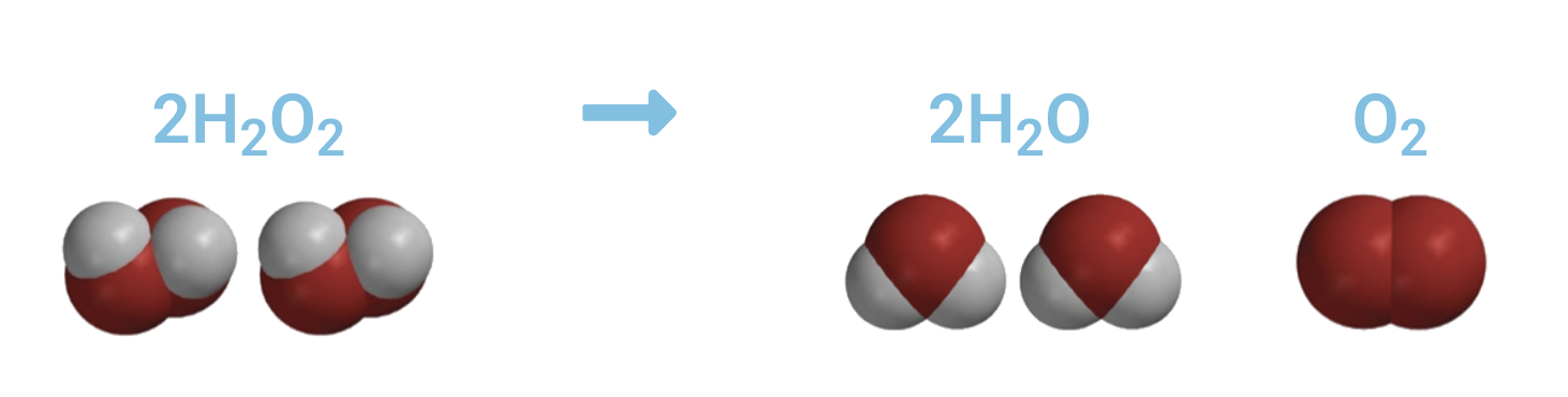 AST X CURIS: A new phase of decontamination