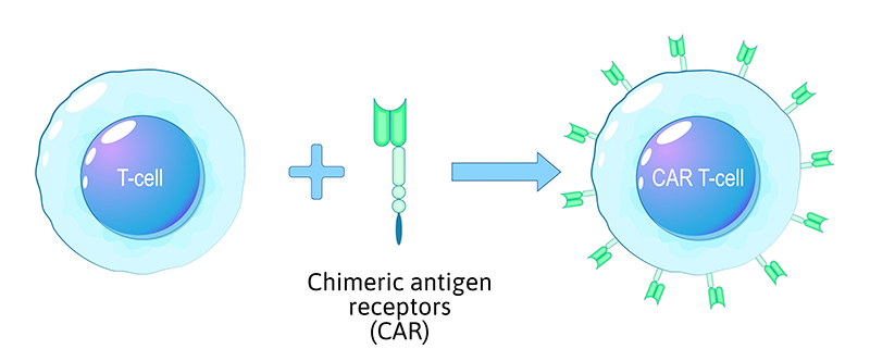 CAR T-cell therapy: contamination control & role of PPE