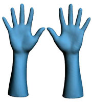 Average Hands of size 8.5<br> Picture copyright Hohenstein Institute