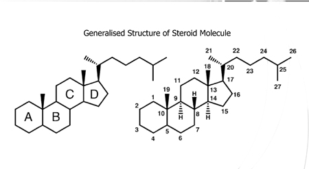 Figure 3: Generalised structure of steroid molecule