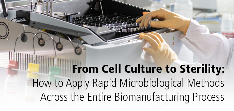 From Cell Culture to Sterility - WEBINAR