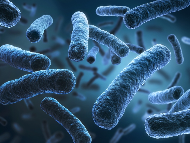 Legionella testing: Modern alternatives to the ‘gold standard’ test