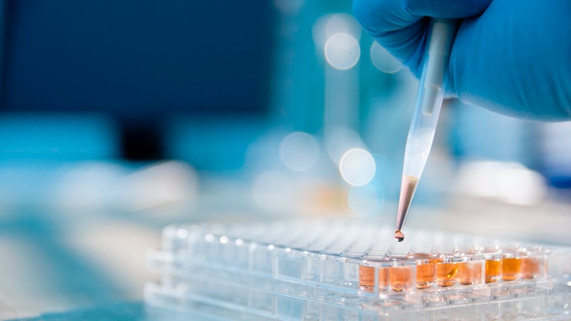 Recombinant Factor C assay to aid demand for LAL endotoxin testing
