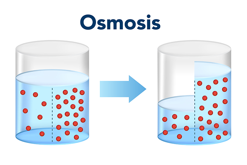 Reverse osmosis in cleanrooms