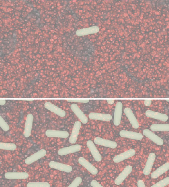 Sporicides: Optimal criteria for cleanroom users