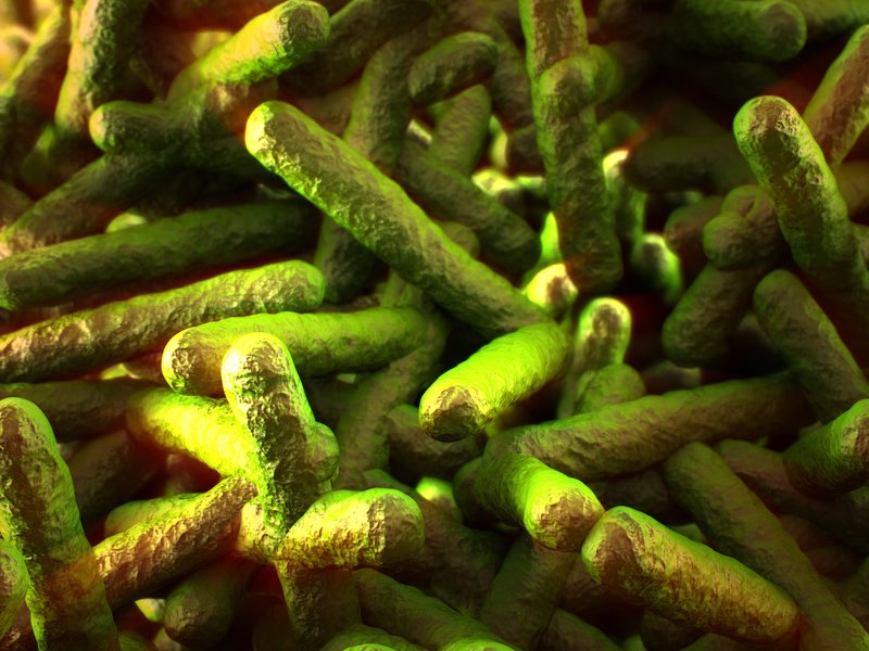 Study looks at Listeria contamination patterns in processors