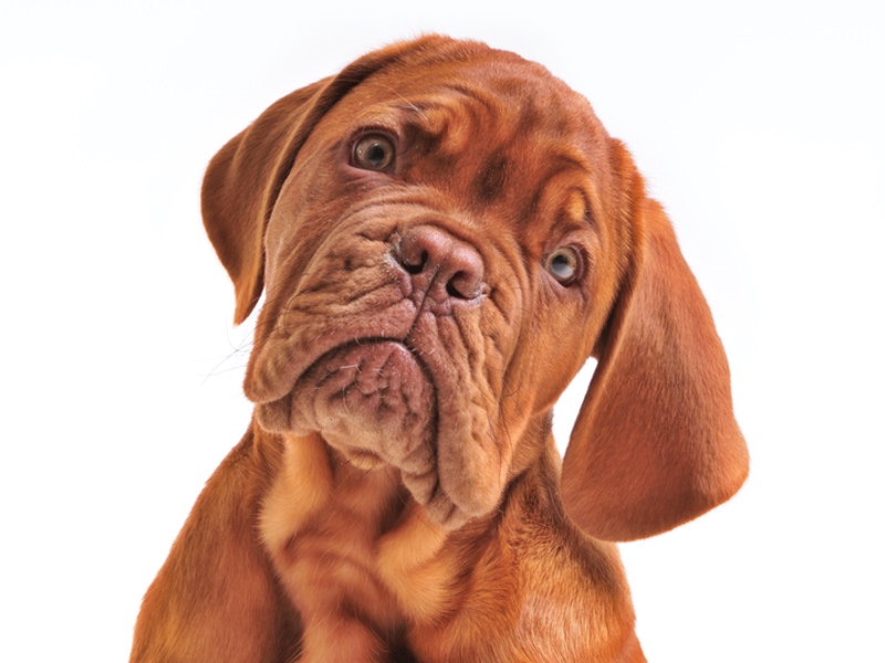 Aseptic filling PUPSIT: What is it? Should I? Must I? How do I? Where do I?
