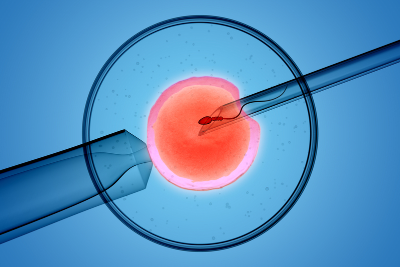 Automation in IVF cleanrooms
