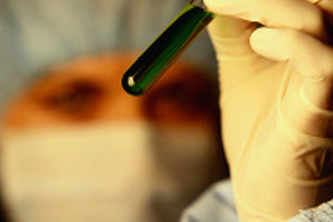 Bayer introduces coatings for protective gloves