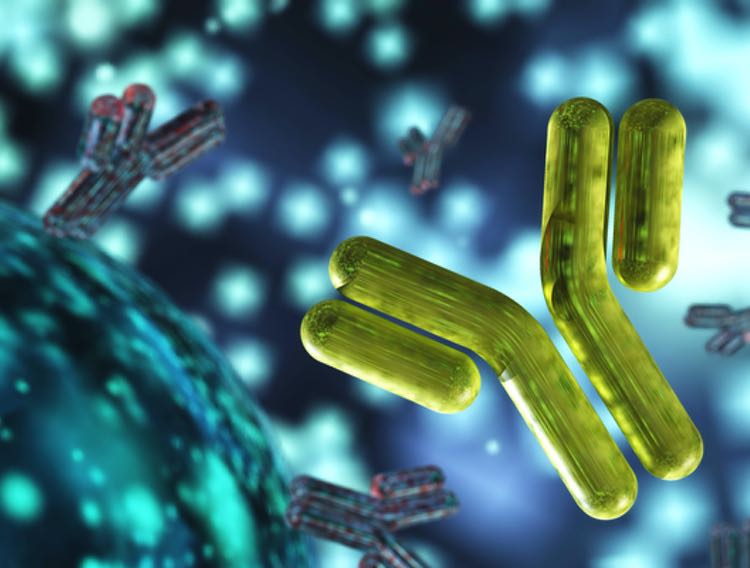 Beckman Coulter launches SARS-CoV-2 IgG II antibody test in countries accepting CE Mark