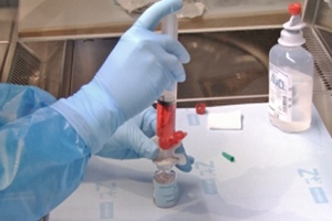 Berner Nitrile glove from Helapet sets the standard