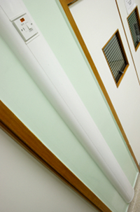 Bio trunking beats bugs