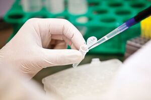 Bioanalytical strategy: Authorities’ expectations to consider