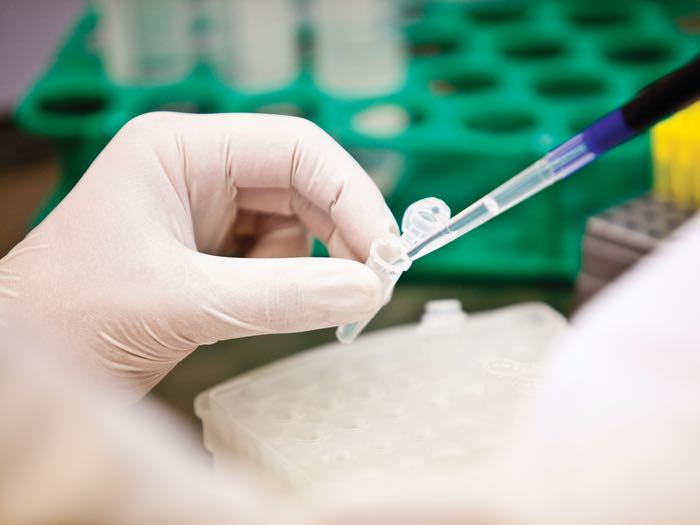 Bioanalytical strategy: Authorities’ expectations to consider
