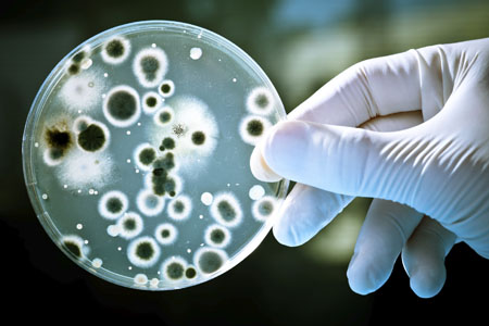 Biocontamination control – moves toward a better standard 