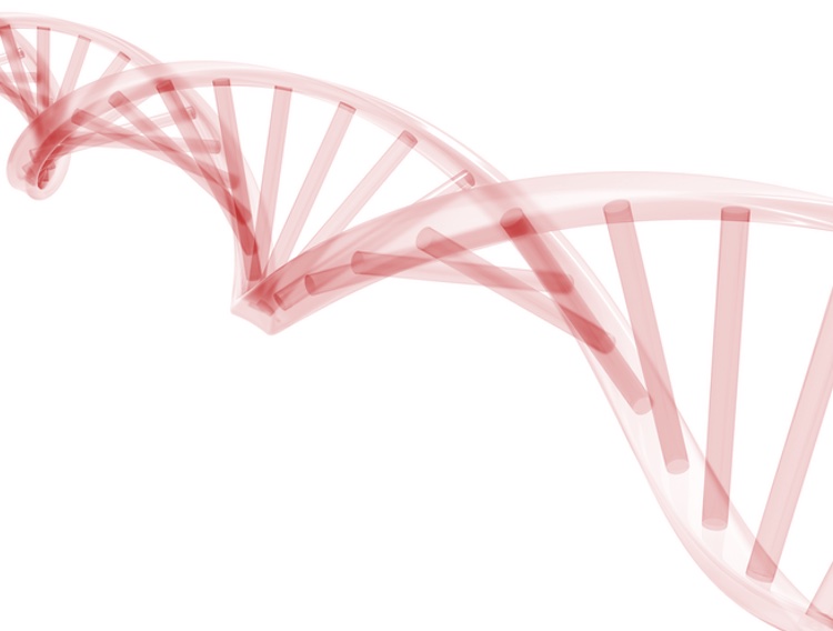 Biogeneric Pharma chooses MRC Systems for biopharma cleanrooms