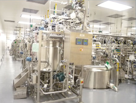 Biological designs on a big scale