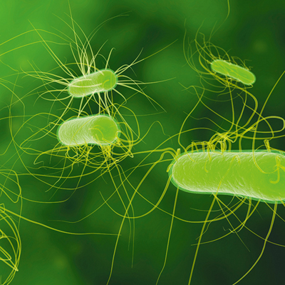 Bolidt antimicrobial flooring employs new bactericidal technique