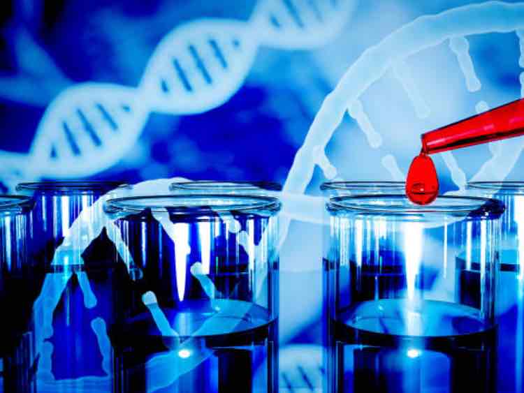 Cancer drug data release set to power next wave of therapeutic discovery