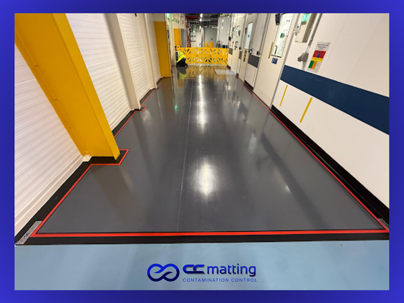 CCMatting LTD