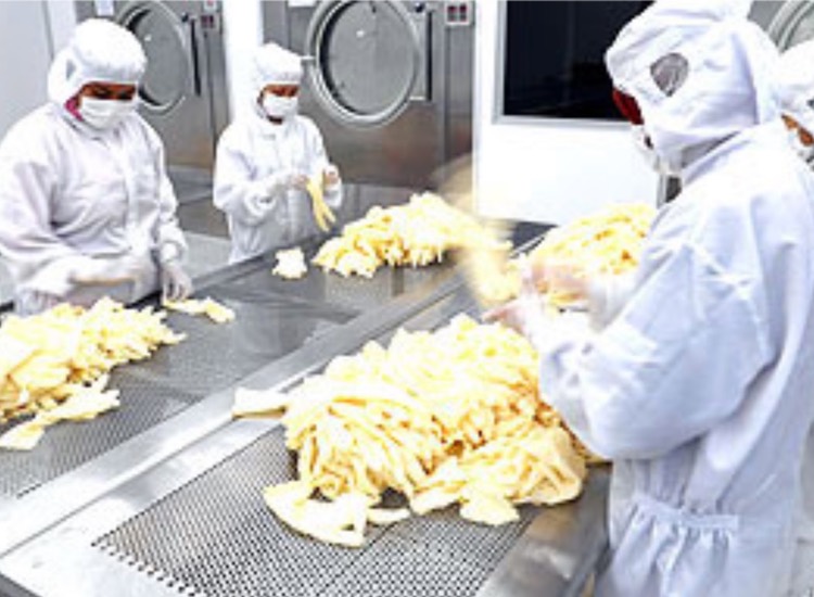 CE Technology fundraises to expand cleanroom glove production