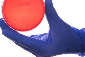 CE Technology plans $12m glove production expansion