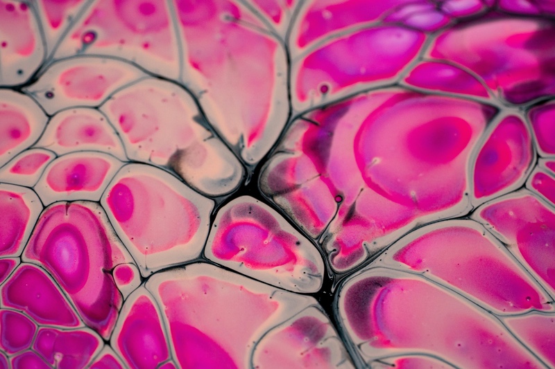 Cell therapy innovation: Germfree and Orgenesis enter strategic partnership