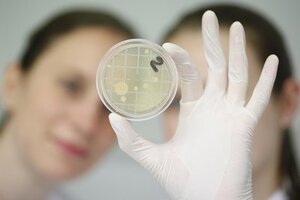 Ceramic coating for batch washing machines keeps bugs at bay