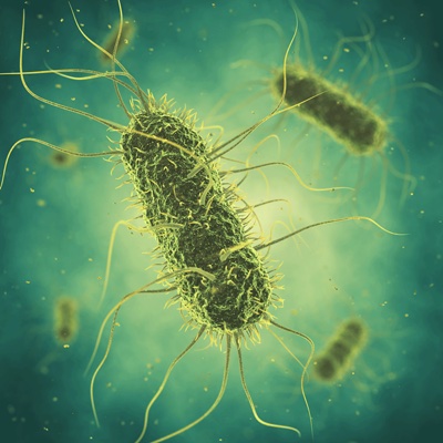 CERTUS to develop rapid environmental Salmonella assay for food producers