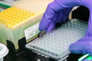 CGT Catapult and pHion Therapeutics join forces 