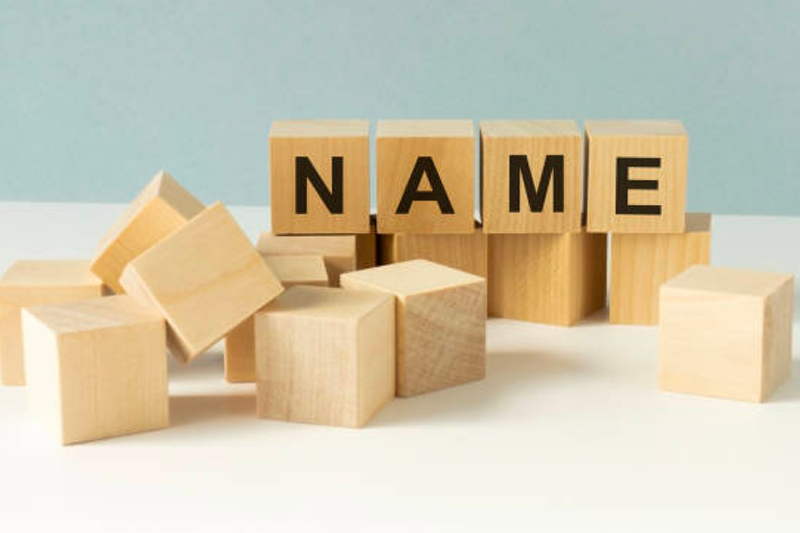 Channel Micron Holdings Company officially changes name