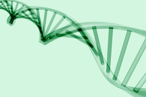 Charles River adds animal-free endotoxin testing to Endosafe solution