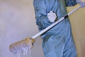 Choosing disinfectants

