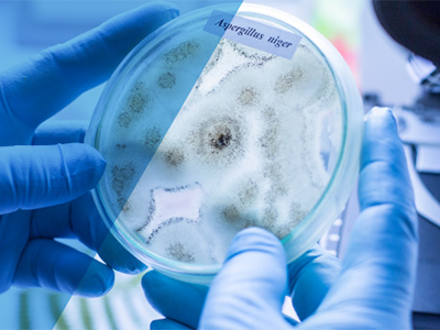 Cleanroom insulation solutions go head-to-head in independent testing report