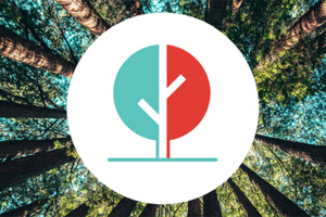 Cleanroomshop celebrates National Forest Week 2024 with new Tree Planting Initiative