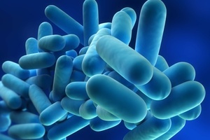 CMS in US issues directive on Legionella-prevention