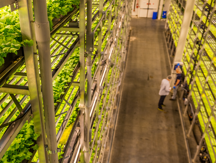 Controlled environment food safety coalition brings experts together