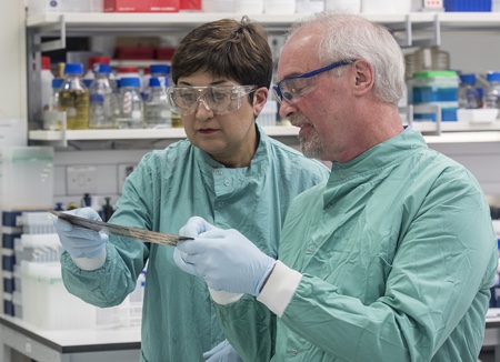 Copper destroys MRSA at a touch