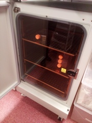 Copper incubator fights contamination in university laboratory