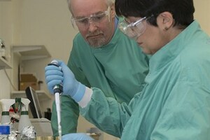 Copper shown to help reduce spread of norovirus