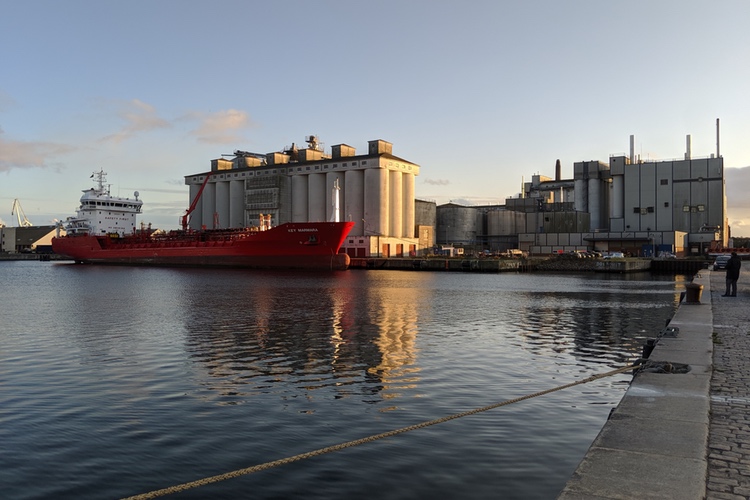 Cosucra plans second pea protein processing plant in Denmark