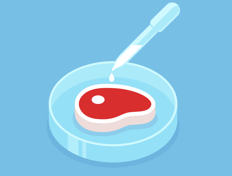 Cultured meat and the growing role of controlled environments in food