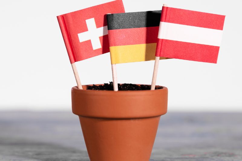 DACH market report: A tale of trade in cleanrooms