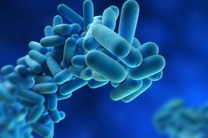 Detecting and identifying Legionella pneumophila